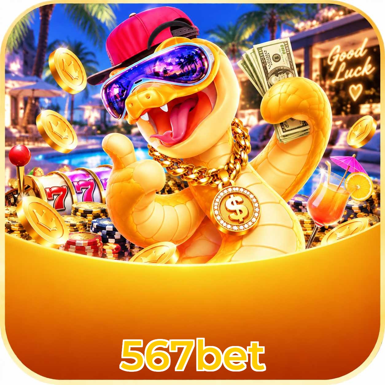 567bet Performance