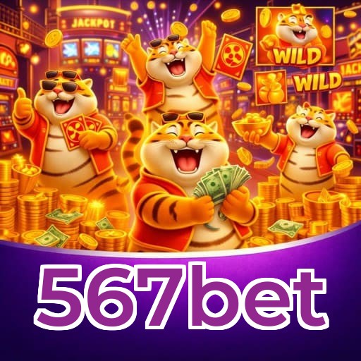 Comparação entre app mobile e versão web da 567bet no celular